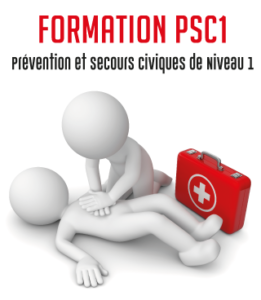 PSC2-261x300.png